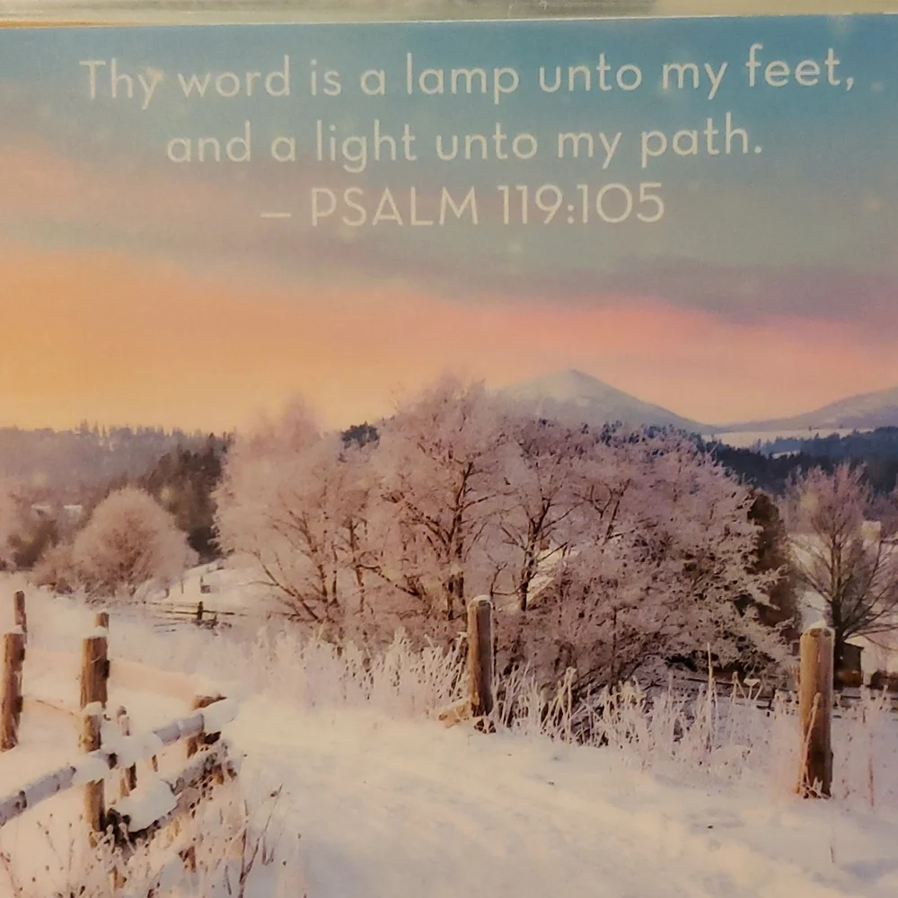 Handmade cover For A Classic Sized Disc Bound Planner Psalm 110:105 snowy road